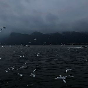 奥特之母坐钢筋
